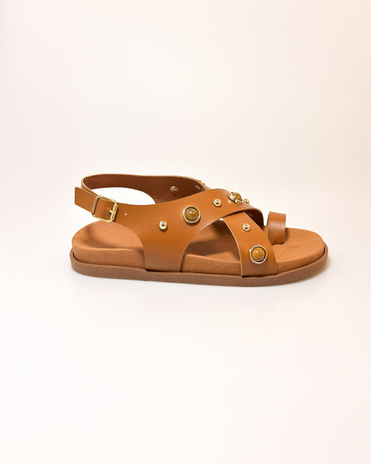 Birken Vick
