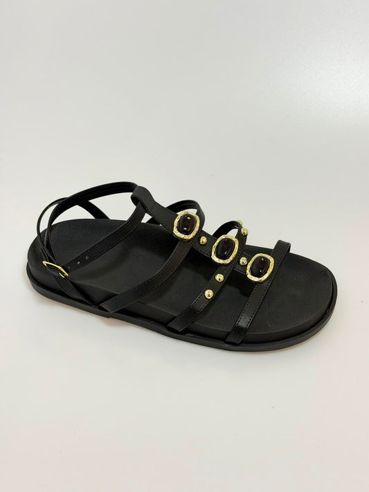 Birken Cintia